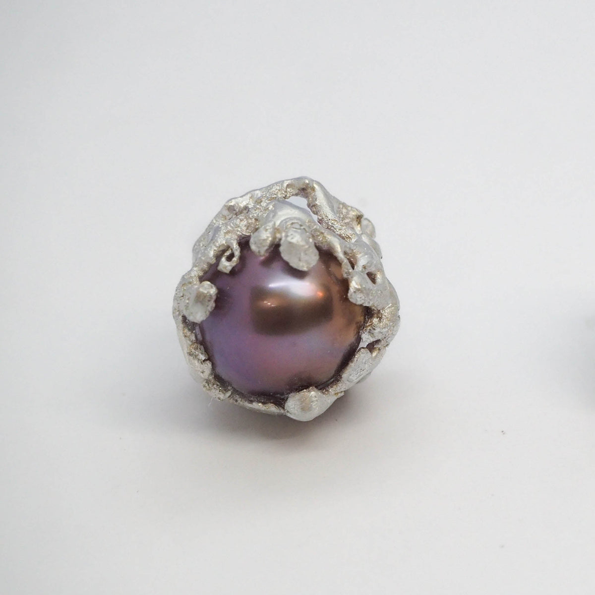 Reef Shell